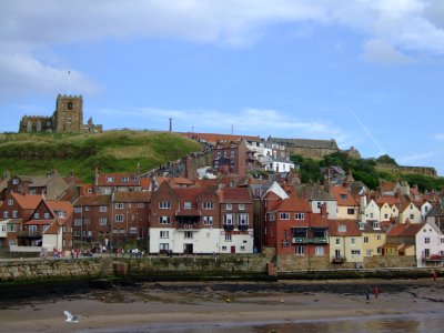 Whitby Houses