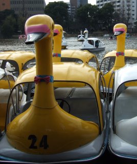 Duck Boats